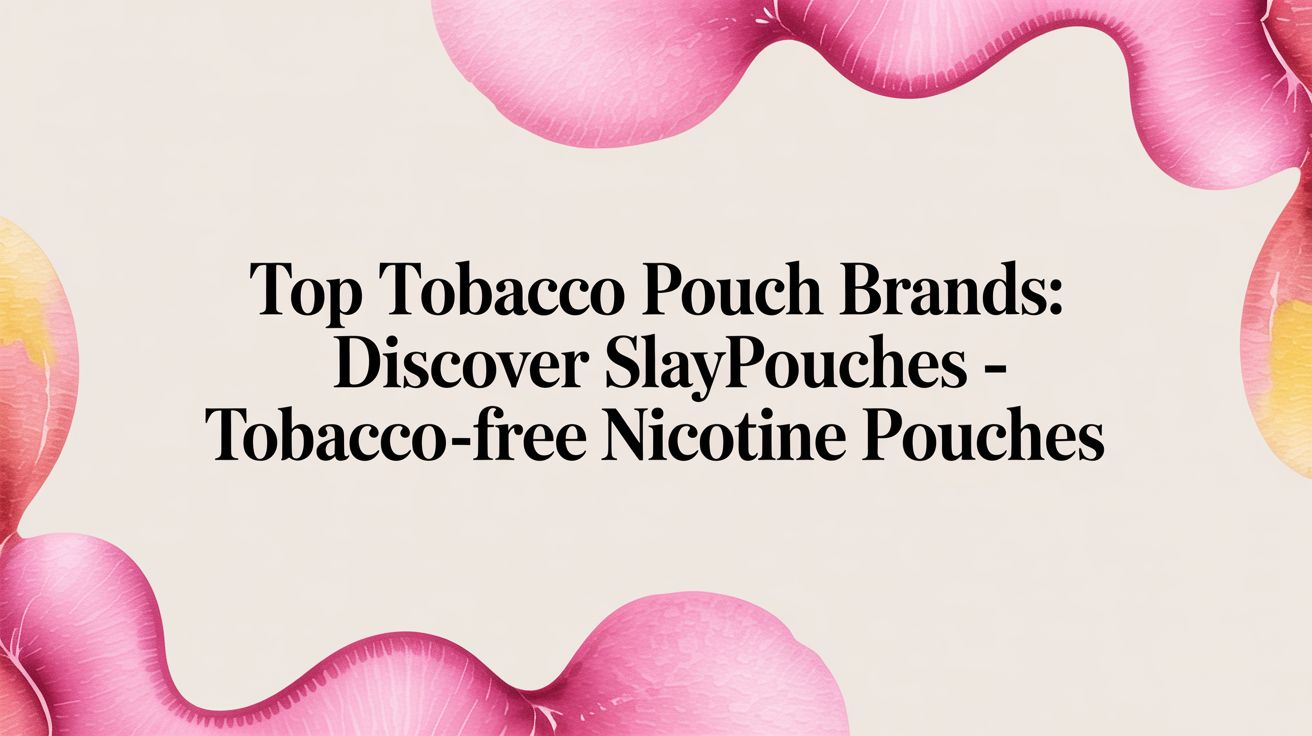 Discover SlayPouches: A Guide to Our Tobacco-Free Nicotine Pouches
